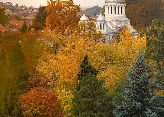 Radisson Blu Aurum Hotel, ホテル 5*